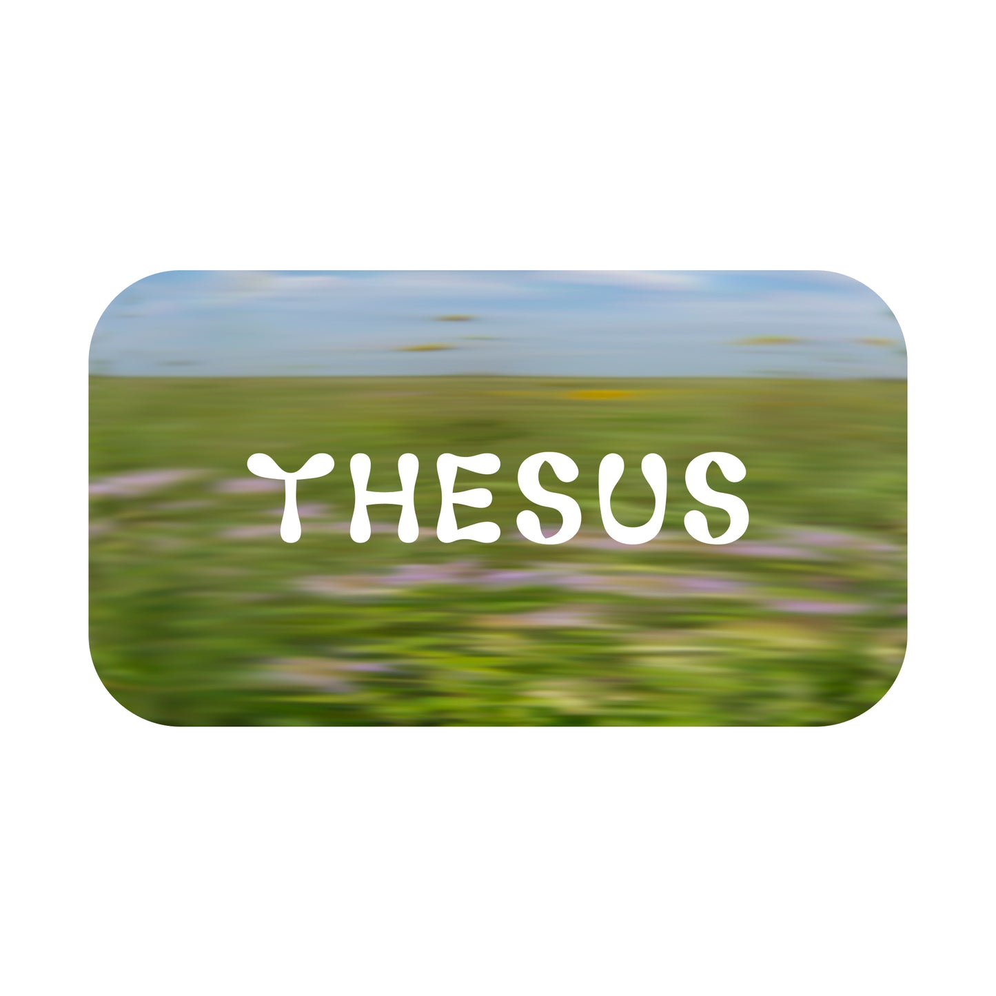 Thesus Gift Card